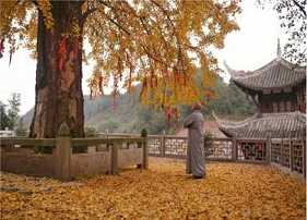 https://m.jingangj66.com/fxzty/fxxiz/179376.html