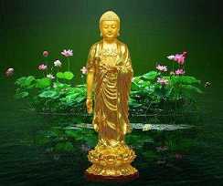 圆觉经属不属于净土法门