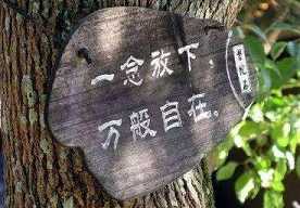 人生八苦是如何来的