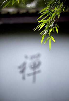 助印善书与发愿听经弘法的感应
