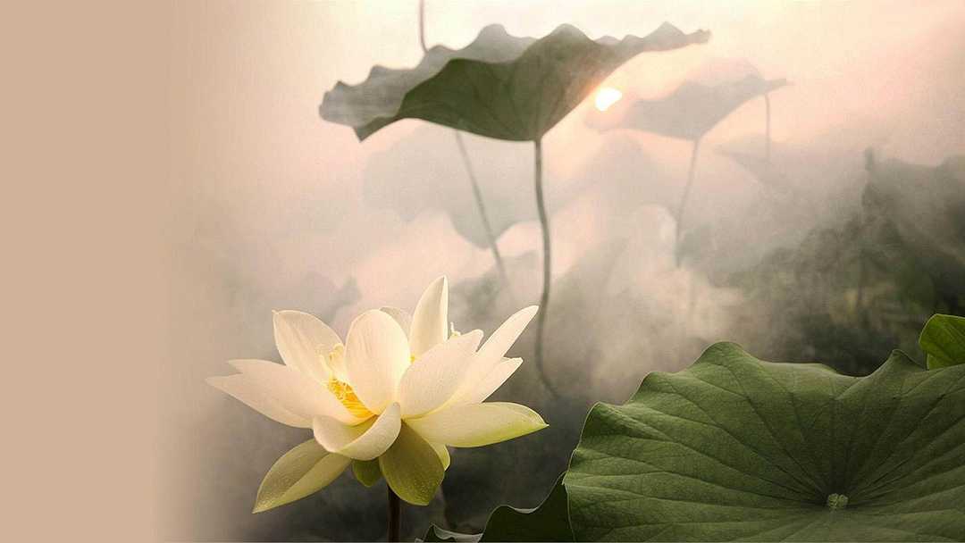 胎藏界都有哪些佛和菩萨