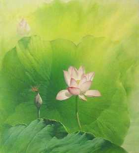 胎藏界法简介