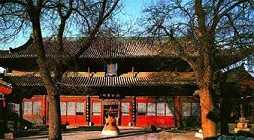 https://m.jingangj66.com/fxzty/wkf/178527.html