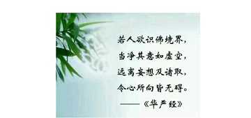 发菩提心有什么意义