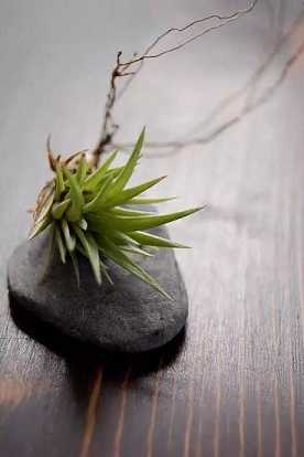 https://m.jingangj66.com/fxzty/fminu/178502.html