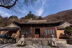 https://m.jingangj66.com/fxzty/sslm/178097.html