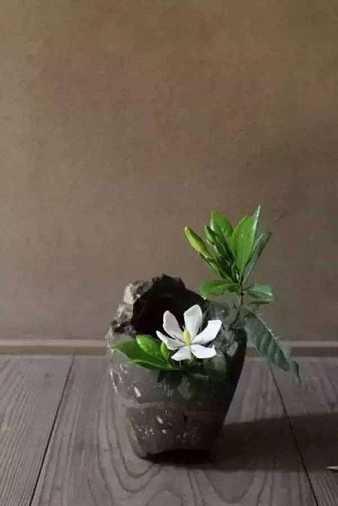 https://m.jingangj66.com/fxzty/bhg/177987.html