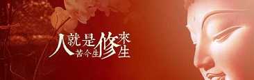 https://m.jingangj66.com/fxzty/sfyp/178322.html