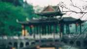 何为六道四生