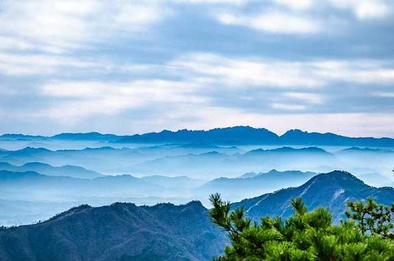 https://m.jingangj66.com/fxzty/lyg/177826.html
