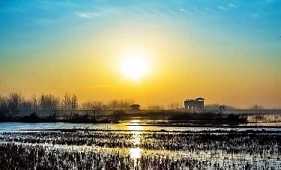 https://m.jingangj66.com/fxzty/sysy/177846.html