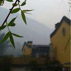 八识
