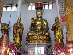 https://m.jingangj66.com/fxzty/anc/178067.html