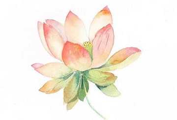 https://m.jingangj66.com/fxzty/fmh/177926.html