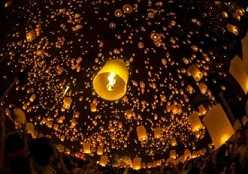 https://m.jingangj66.com/fxzty/ylpb/177516.html