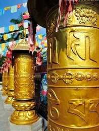 https://m.jingangj66.com/fxzty/zjtm/176881.html