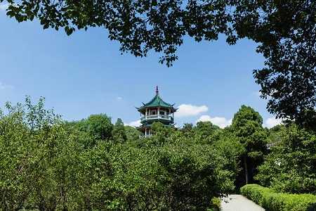https://m.jingangj66.com/fxzty/tdjzc/176035.html