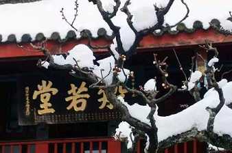 https://m.jingangj66.com/fxzty/xutuq/176826.html