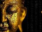 https://m.jingangj66.com/fxzty/sandb/176515.html