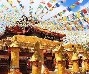 https://m.jingangj66.com/fxzty/yplh/176707.html