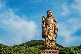 https://m.jingangj66.com/fxzty/sblmd/176491.html