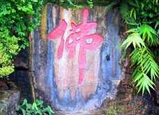 佛果是什么