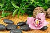https://m.jingangj66.com/fxzty/hzco/179681.html