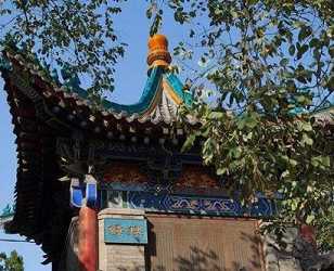 菩提树神