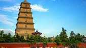 https://m.jingangj66.com/fxzty/jszm/181044.html
