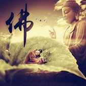 https://m.jingangj66.com/fxzty/cshis/182279.html