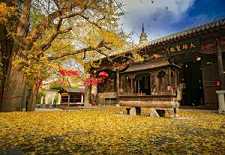 https://m.jingangj66.com/fxzty/fzdsl/182942.html