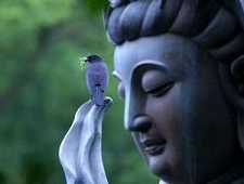 彻悟大师