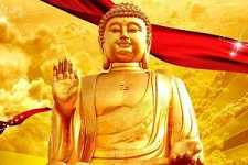 https://m.jingangj66.com/fxzty/zfd/183288.html