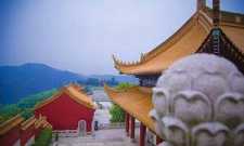 https://m.jingangj66.com/fxzty/dltw/183832.html