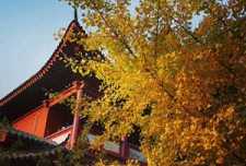 https://m.jingangj66.com/fxzty/fjqkw/184091.html