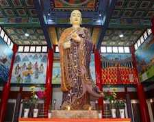 https://m.jingangj66.com/fxzty/yijo/184191.html