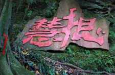 https://m.jingangj66.com/fxzty/hgenp/184272.html