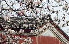 《成唯识论》与《大乘起信论》