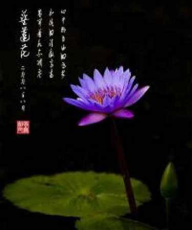 在家读金刚经的步骤