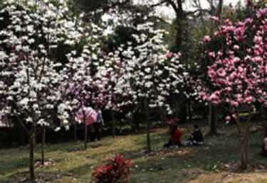 学习了凡四训的感受