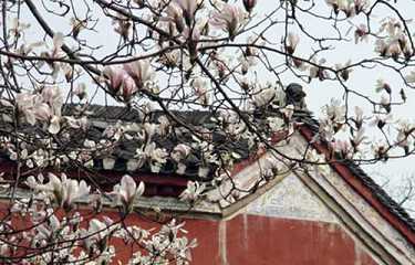 为什么要看了凡四训