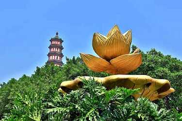 抄药师经的功德回向家人