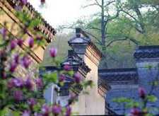抄药师经方法是什么