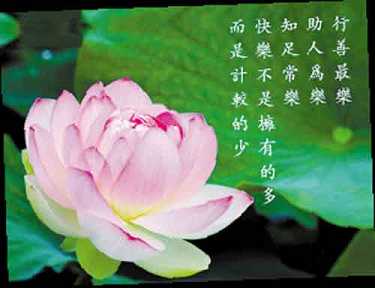 金刚经全文有多少卷