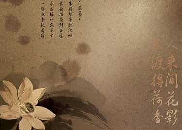 妙法莲华经译文
