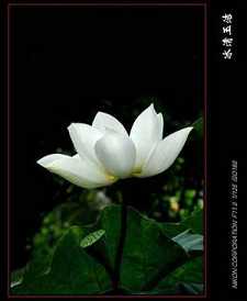 观世音菩萨普门品快诵6分钟