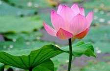什么是地藏王菩萨