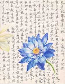 法华经名句
