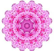 孕妇念莲花生大士心咒
