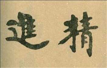 精进的生命